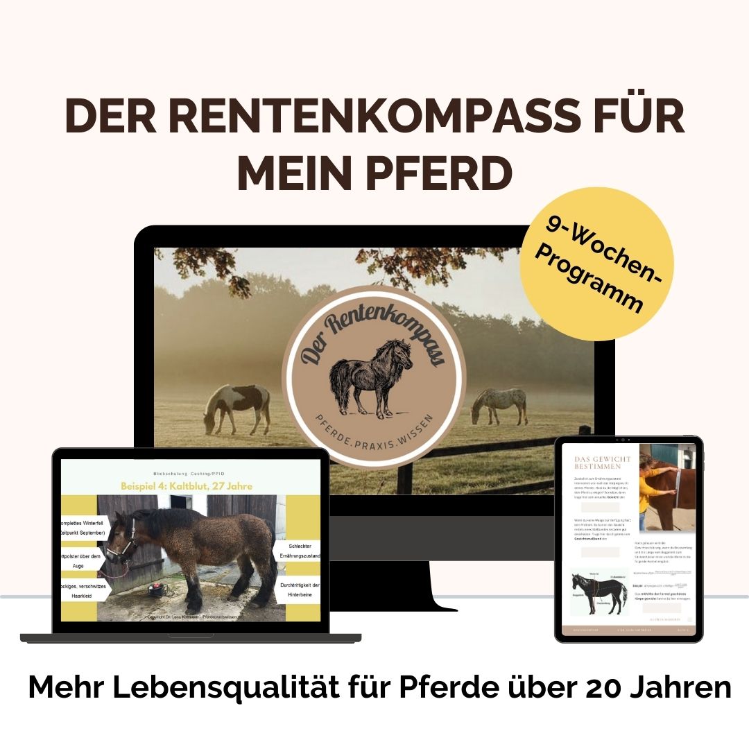 Rentenkompass Rentenkompass