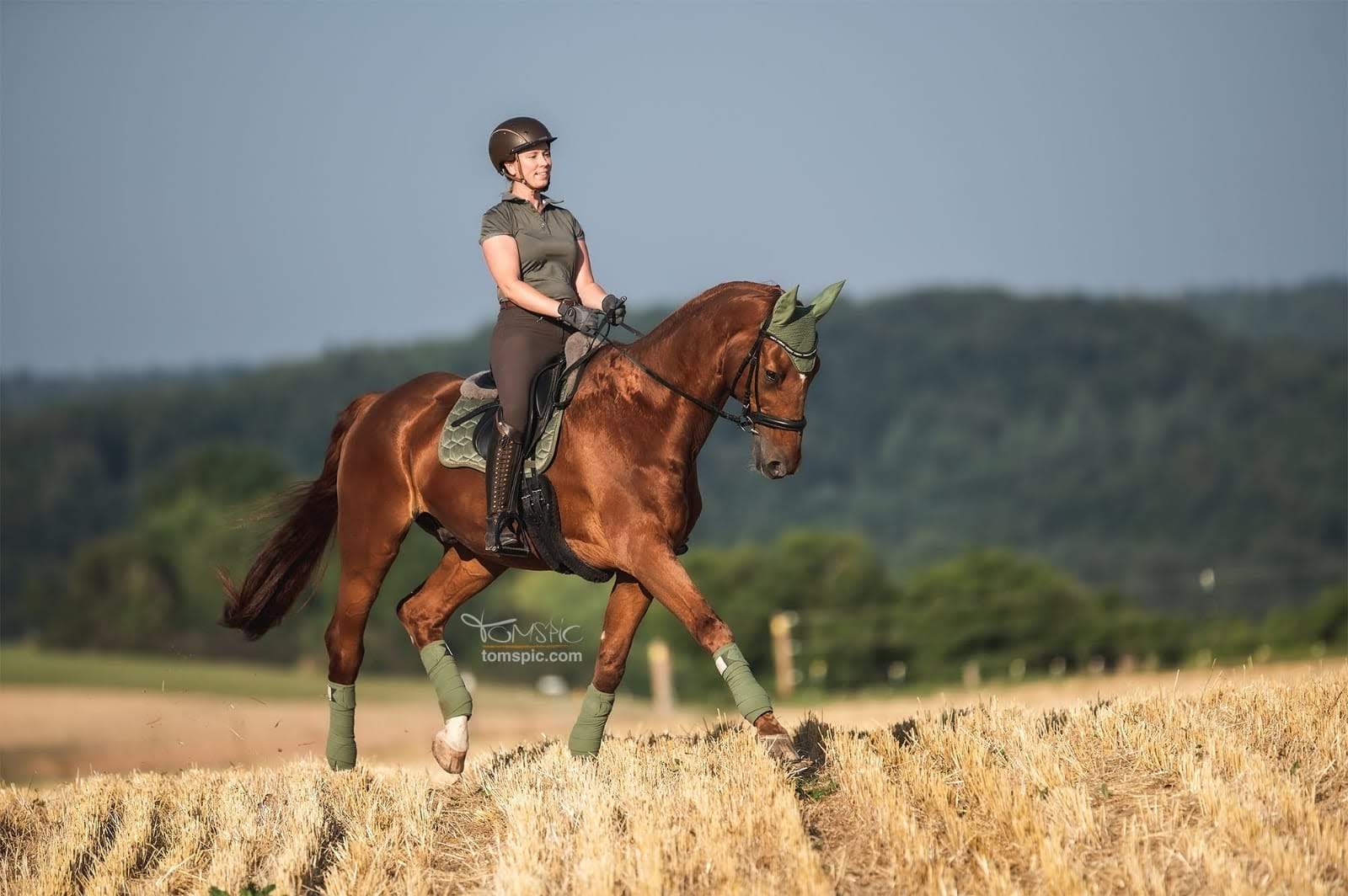 IMG_20220727_081445_557 Altes Pferd Gallop