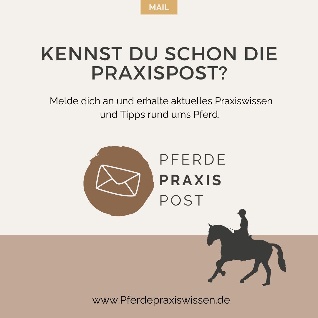 PRaxispost Newsletter