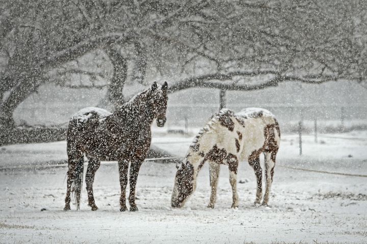 Kolik im Winter vermeiden