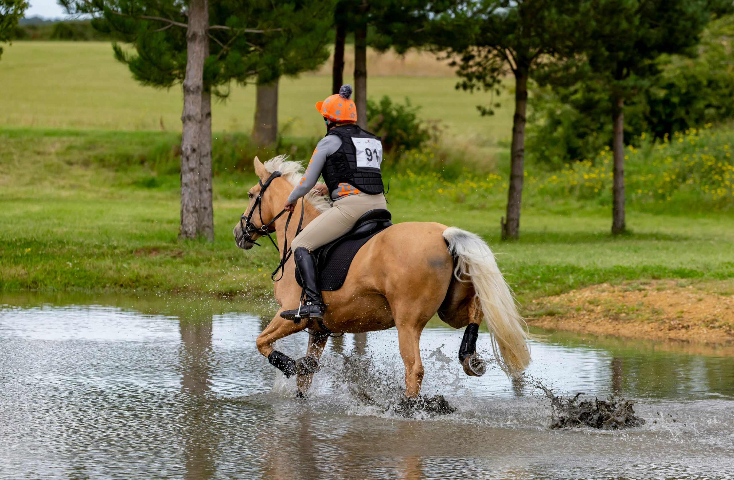 Pferd galloppiert durch Wasser